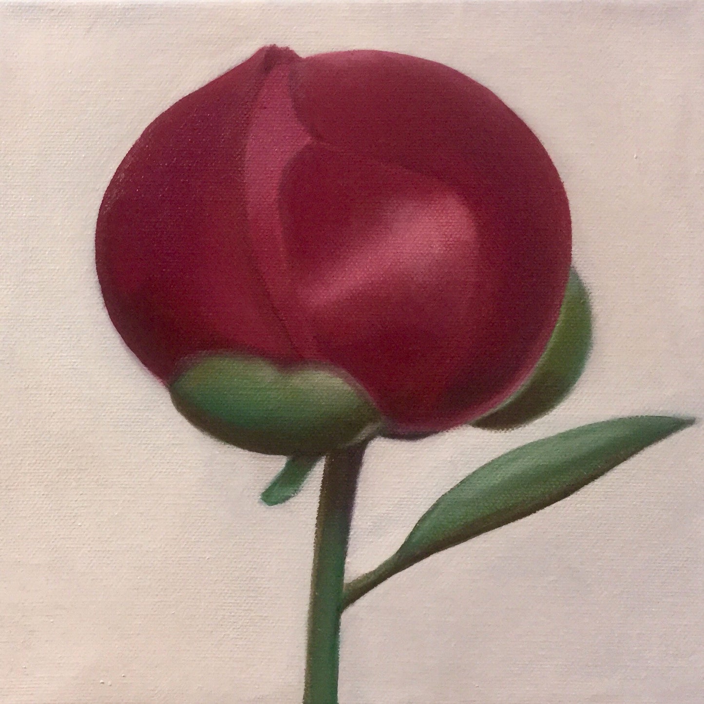 Mounted / framed print (only 9x9 inch)