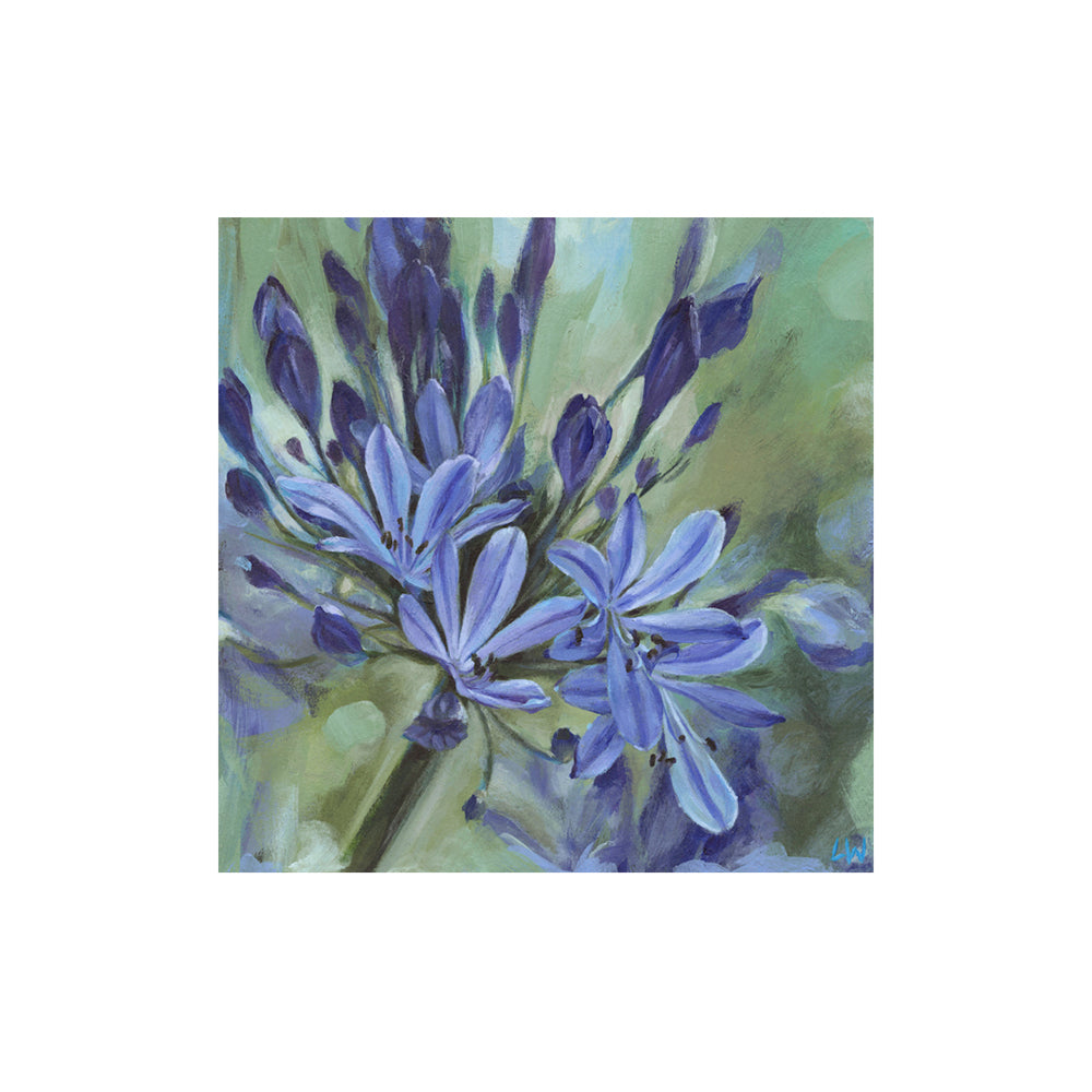 Botanical Prints, mounted