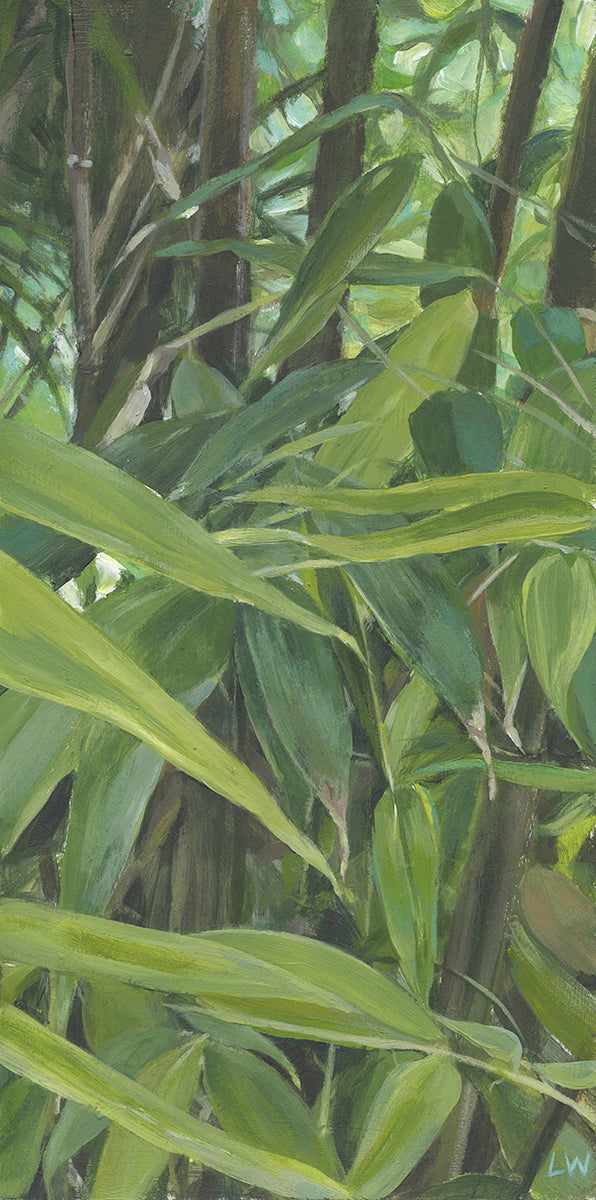 Bamboo 3