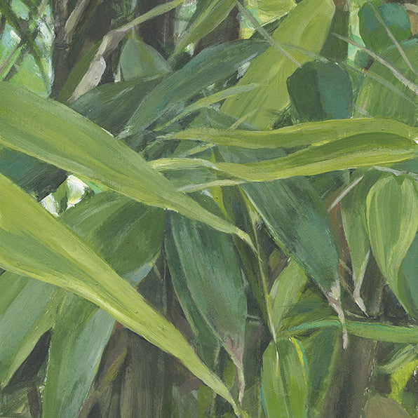 Bamboo Prints, mounted