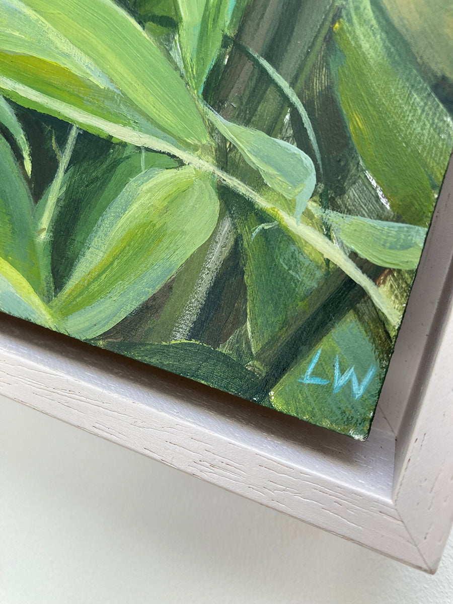 Bamboo 3