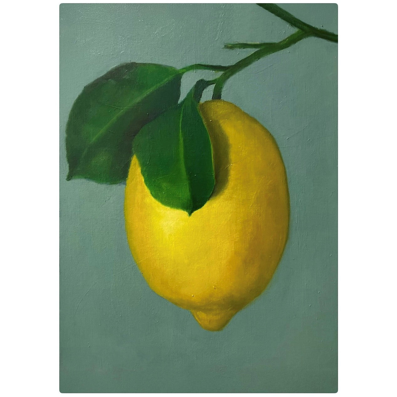 Mounted / Framed print (A4 / A3)