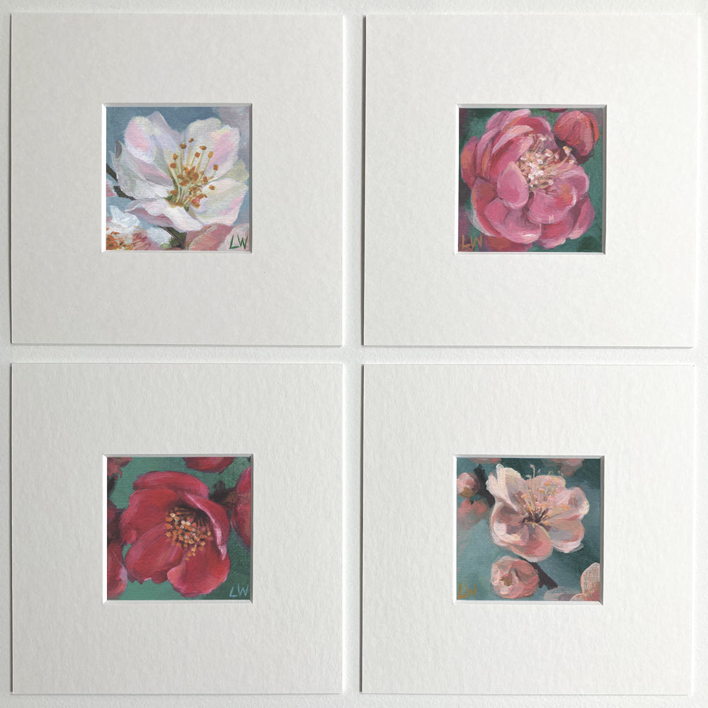 Botanical mini prints, mounted