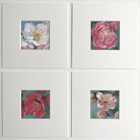 Square Botanical mini prints, mounted