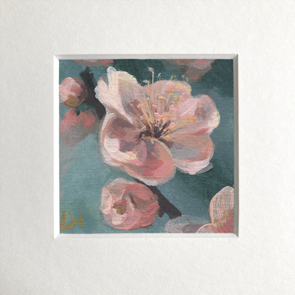 Botanical mini prints, mounted