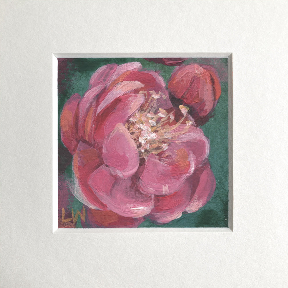 Botanical mini prints, mounted