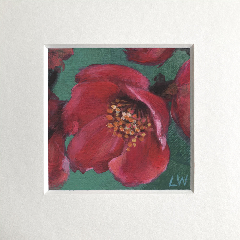 Botanical mini prints, mounted