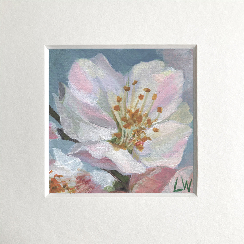 Botanical mini prints, mounted