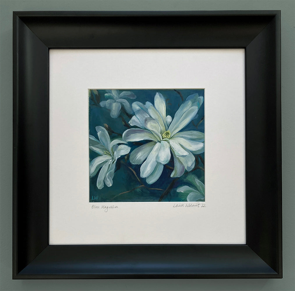 Blue Magnolia