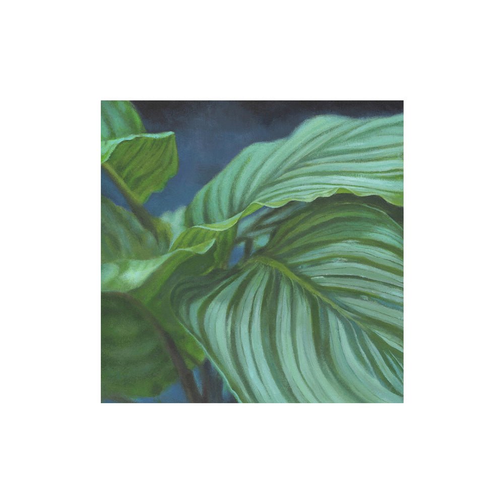 Botanical Prints, mounted