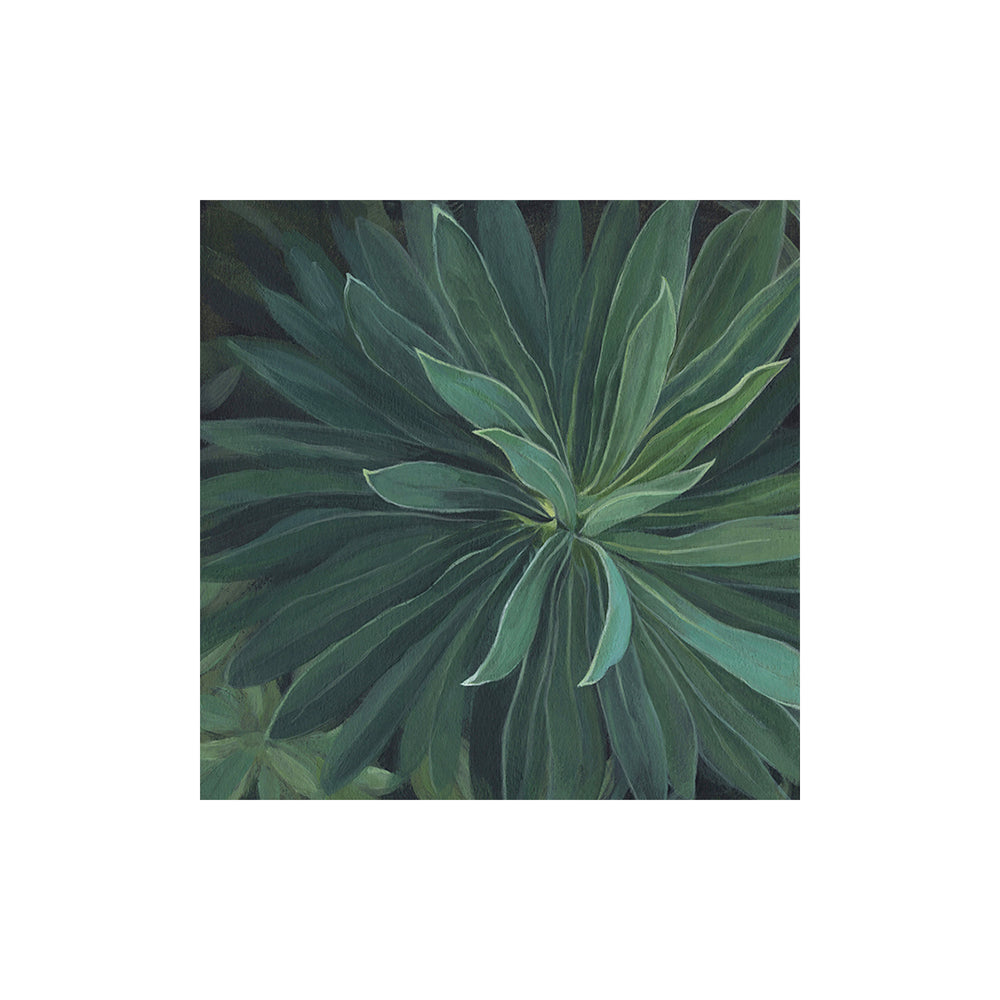 Botanical Prints, mounted