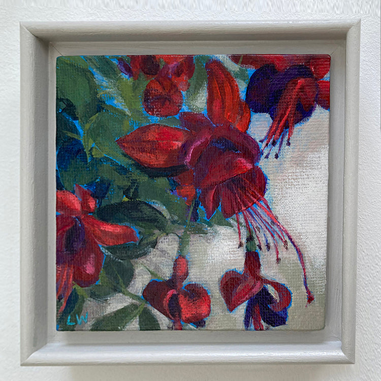 Fuschia crop 1
