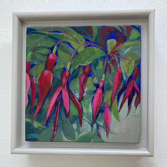 Fuschia crop 2