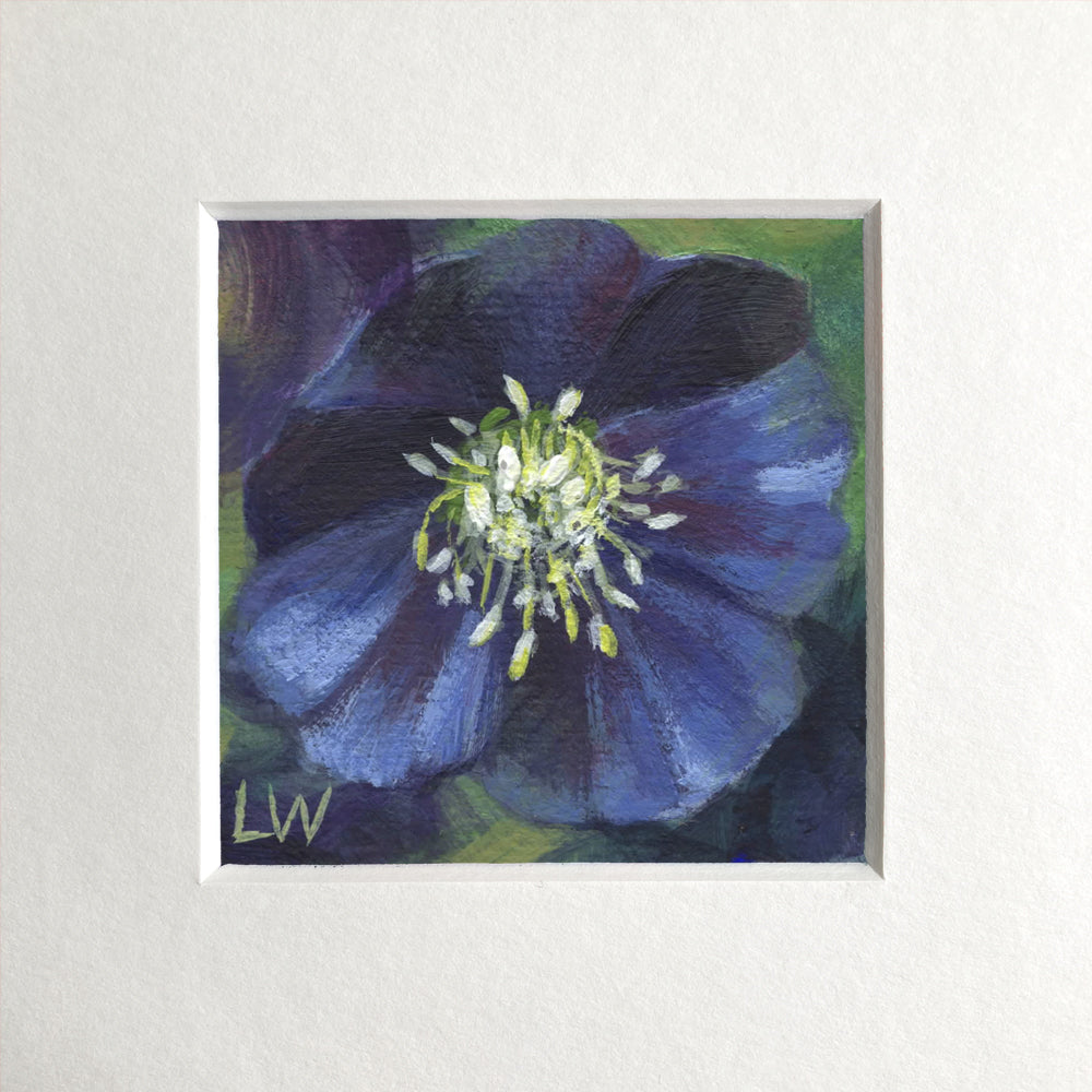 Botanical mini prints, mounted