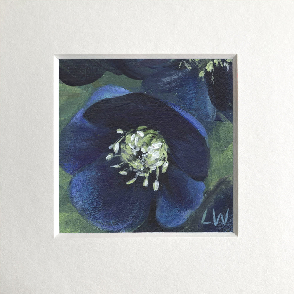 Botanical mini prints, mounted
