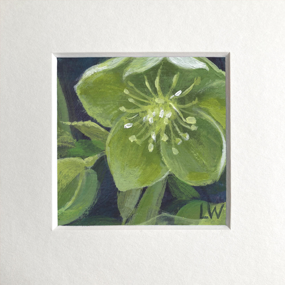 Botanical mini prints, mounted