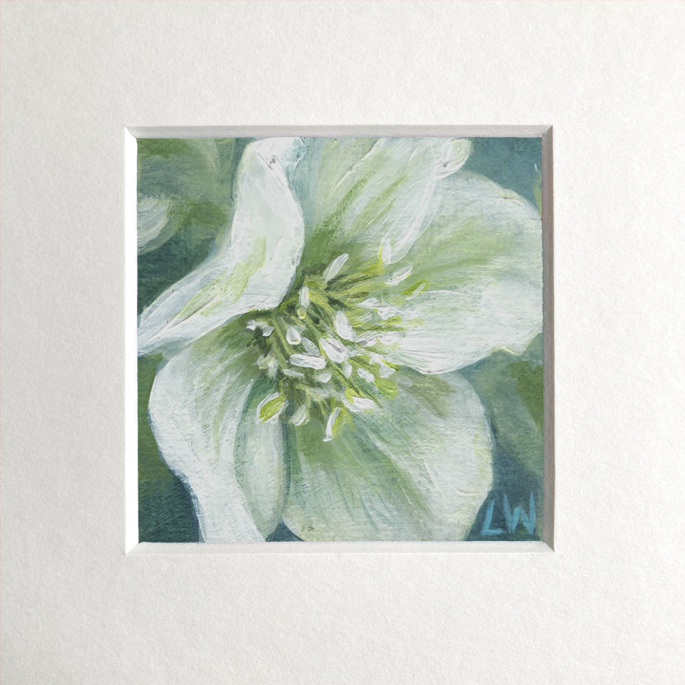 Botanical mini prints, mounted