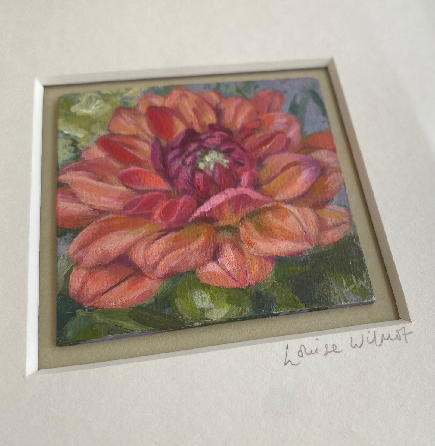Dahlia miniature original