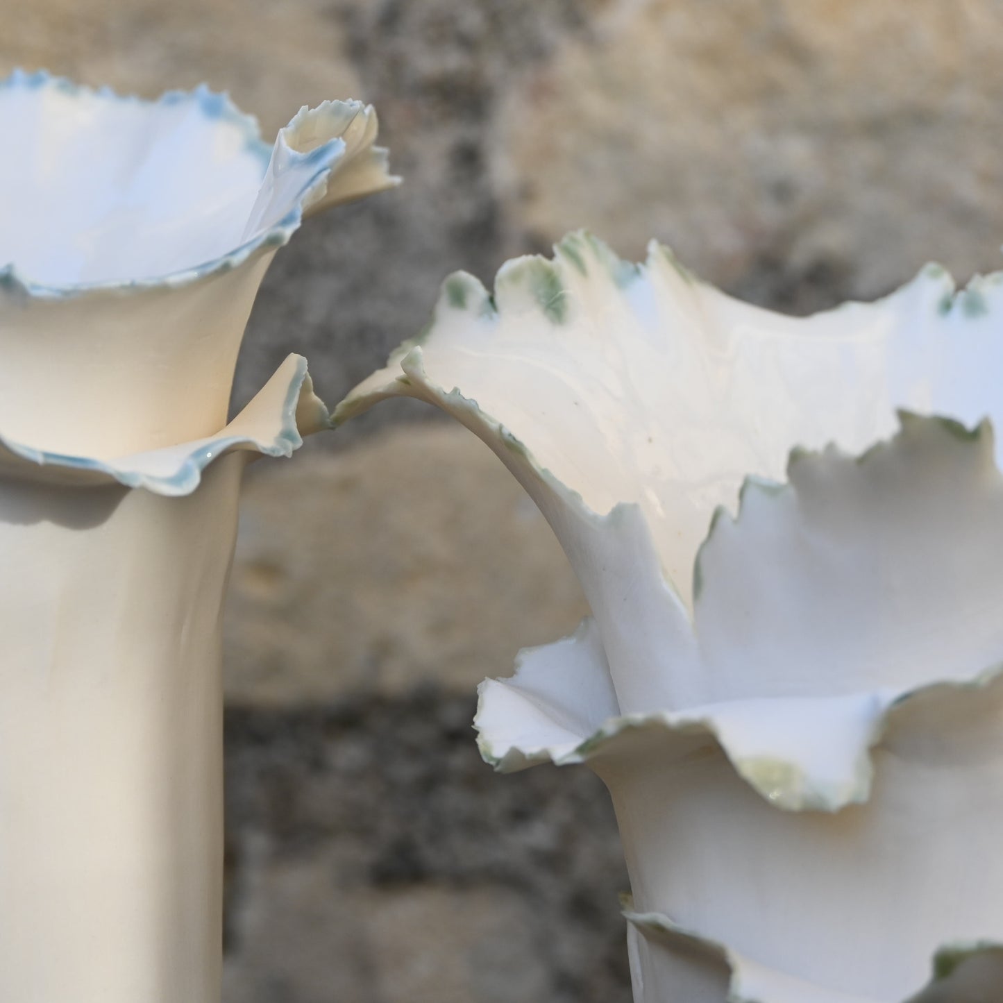 Oyster vase