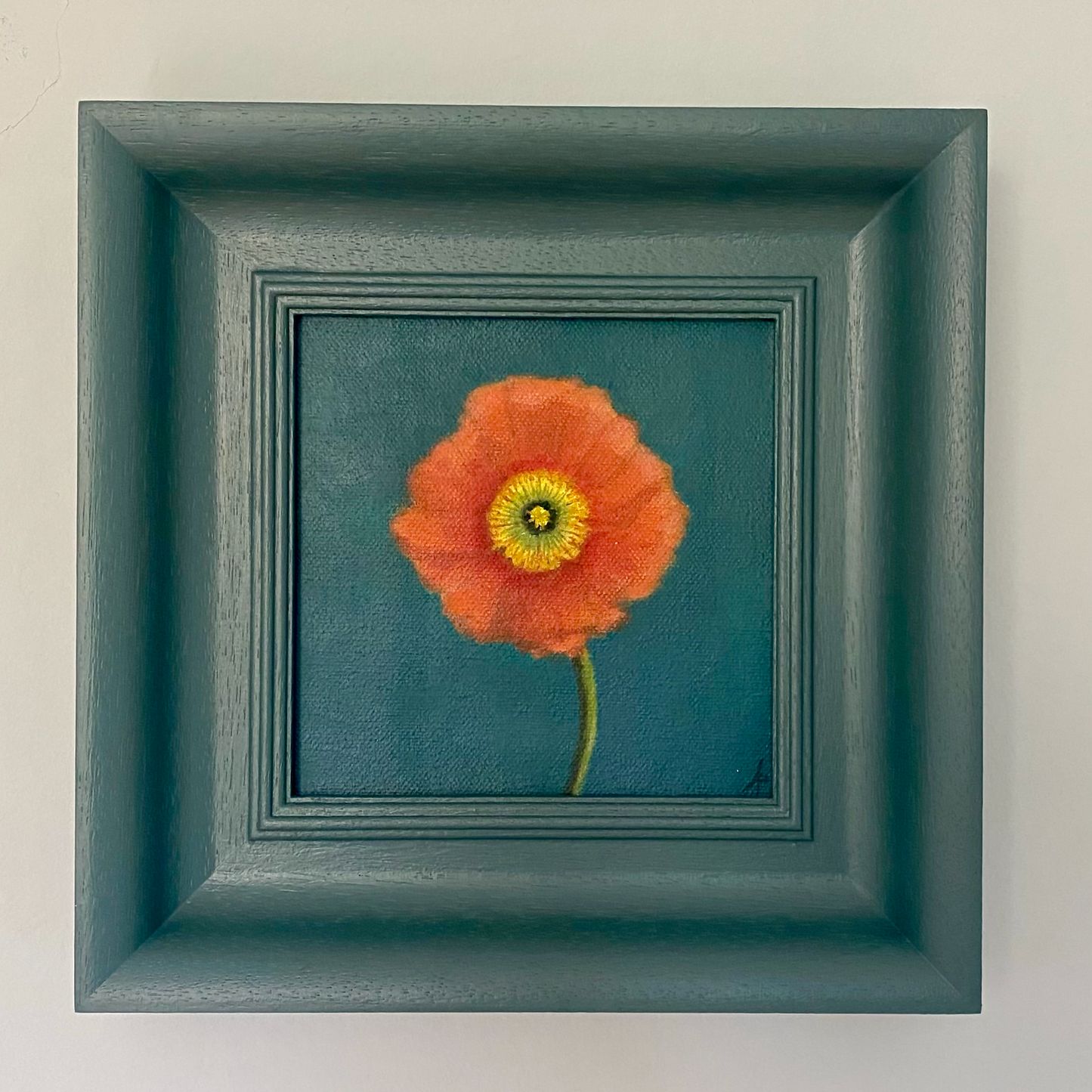 Poppy