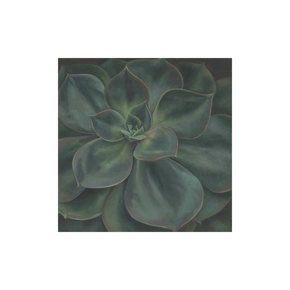 Botanical Prints, mounted