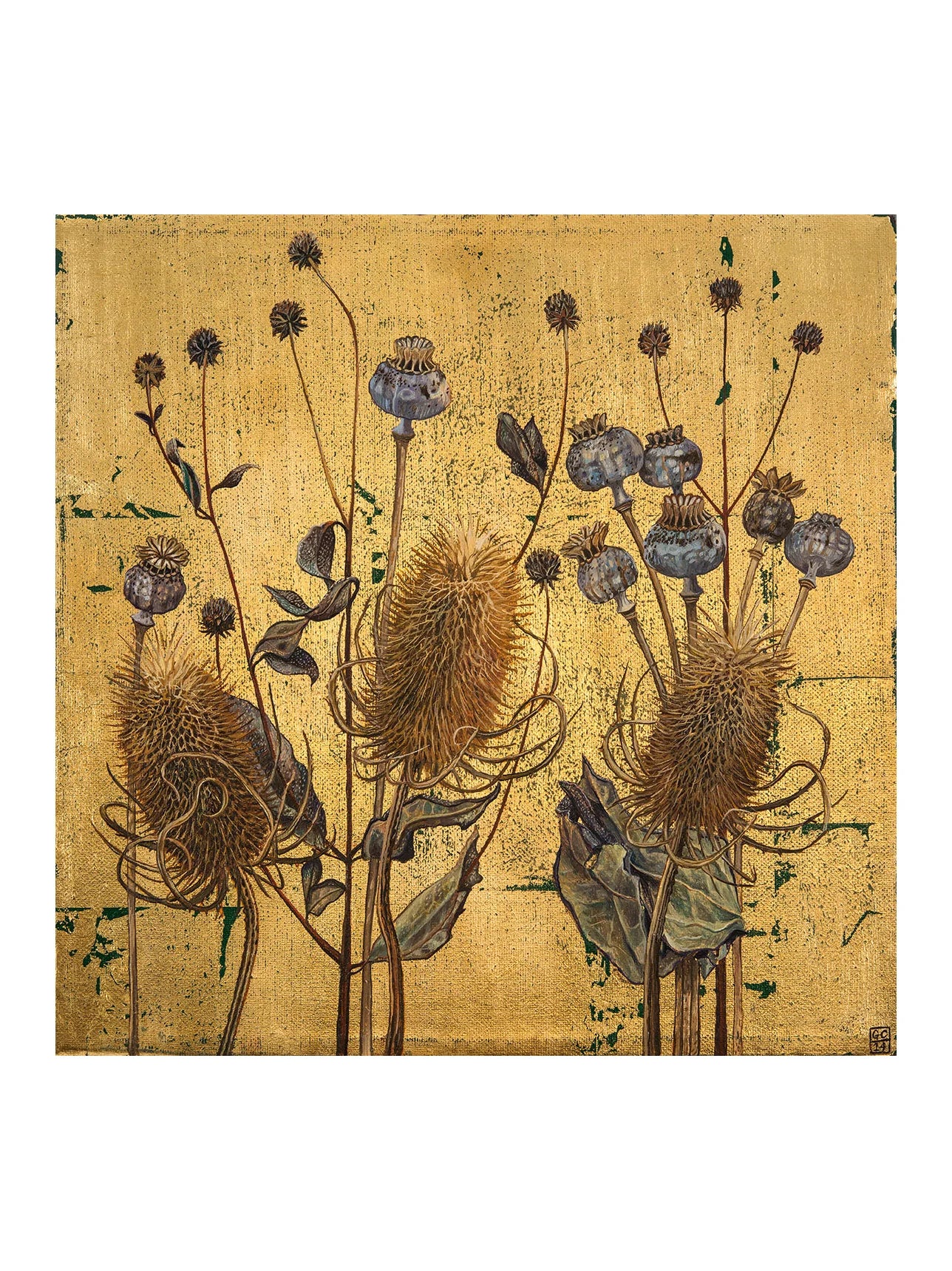 Teasels and Poppy Pods Print by Georgia Cox