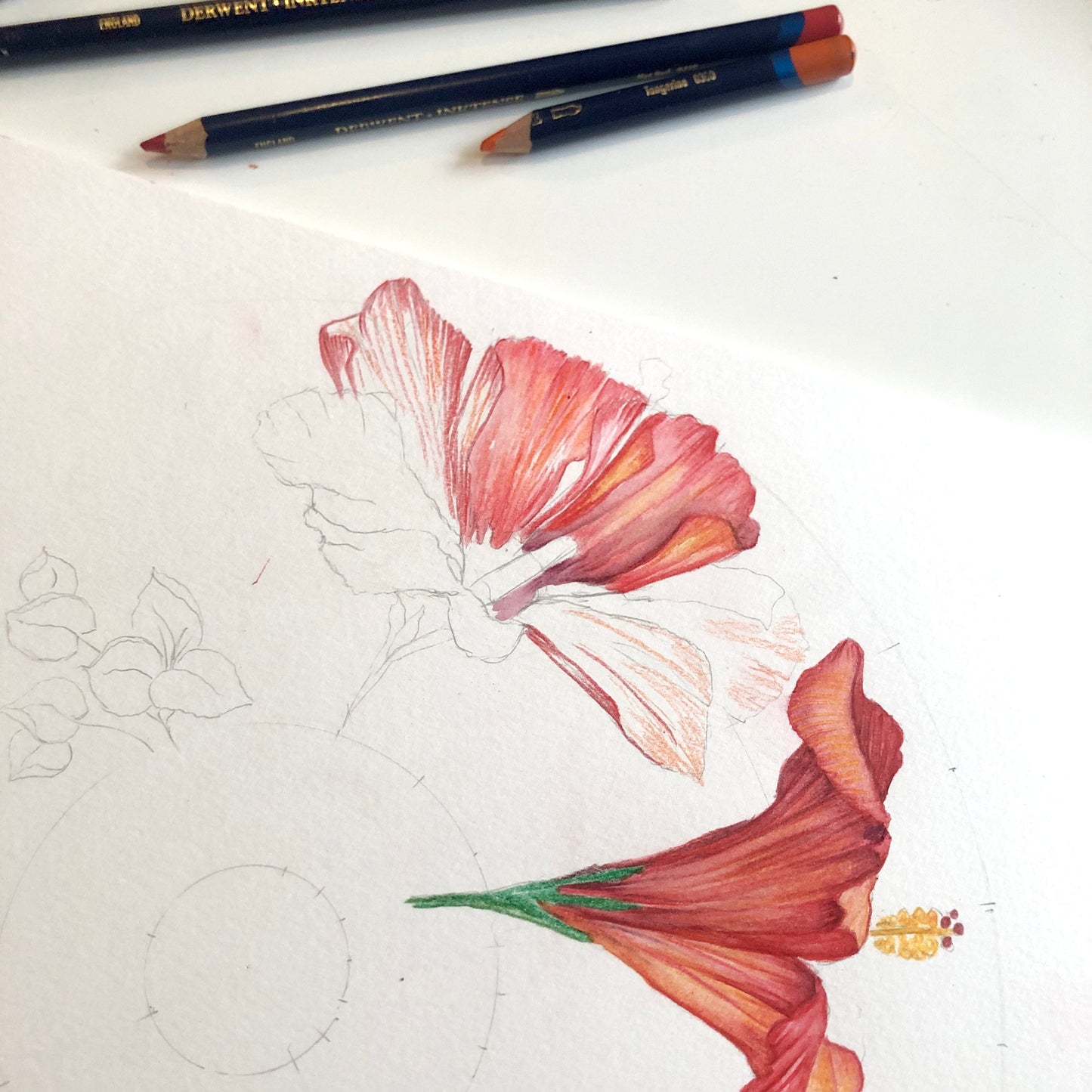 Hibiscus drawing with coloured pencils on a bamboo paper