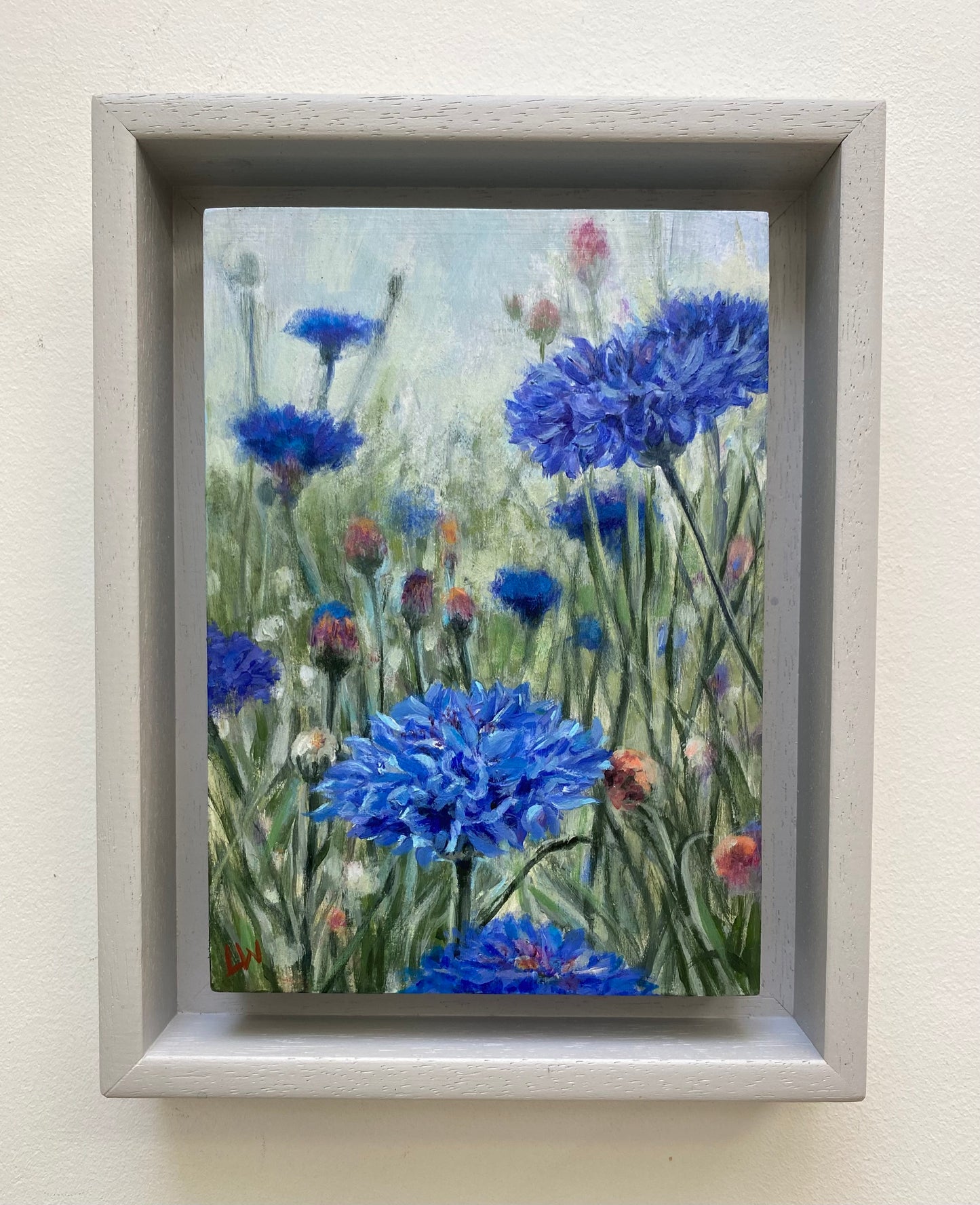 Cornflowers