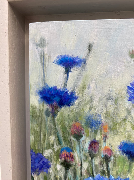 Cornflowers
