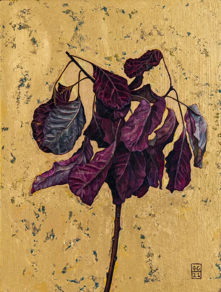 Smokebush by Georgia Cox