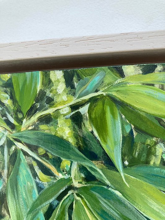 Bamboo 1