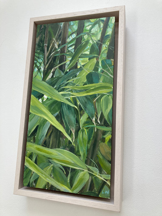 Bamboo 3