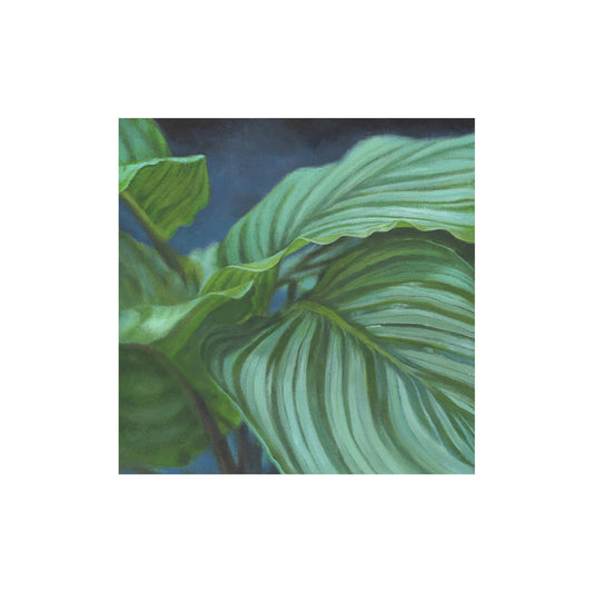 Calathea Print