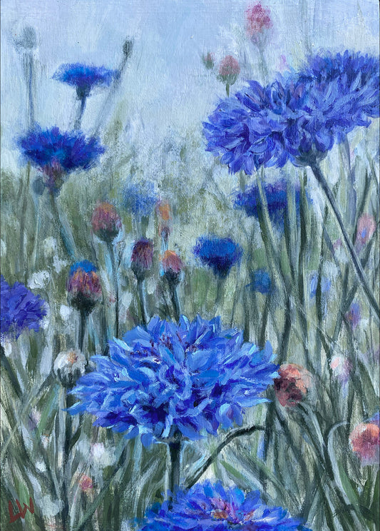 Cornflowers