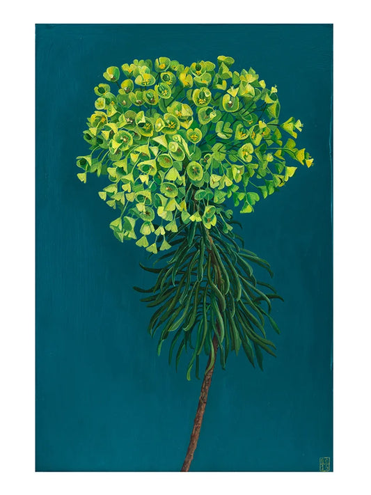 Euphorbia Print by Georgia Cox