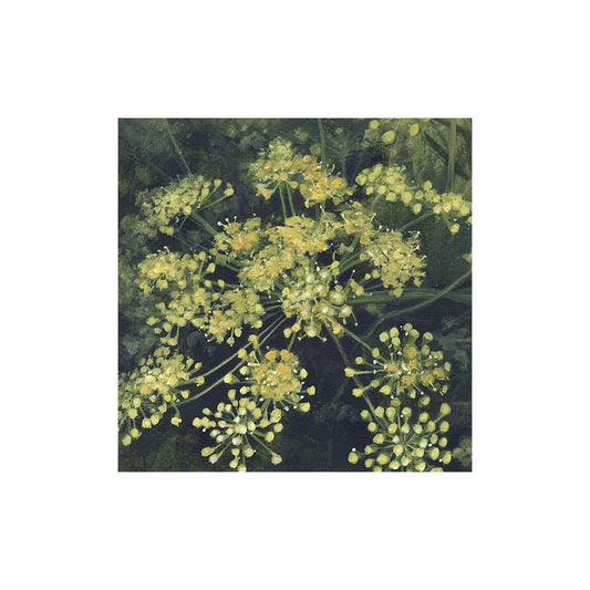 Botanical Prints, mounted