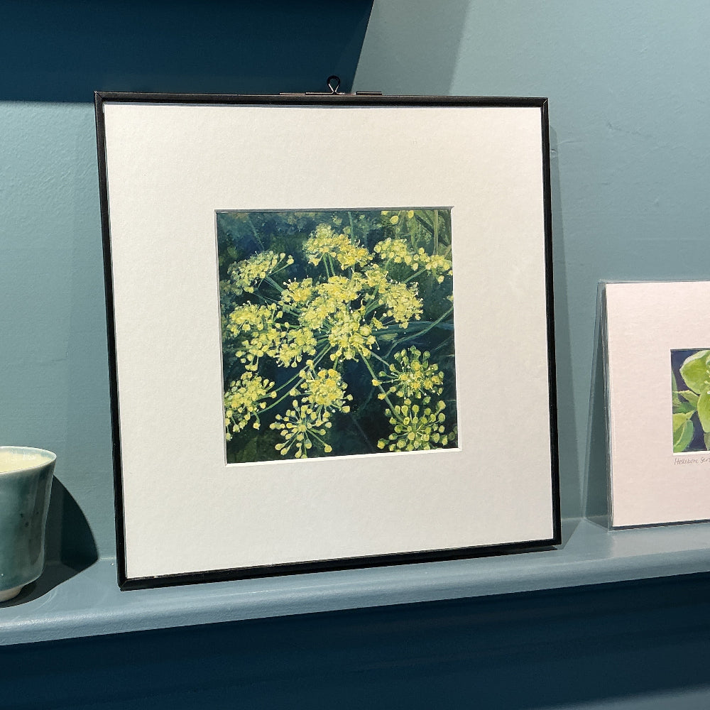 Fennel Framed Print