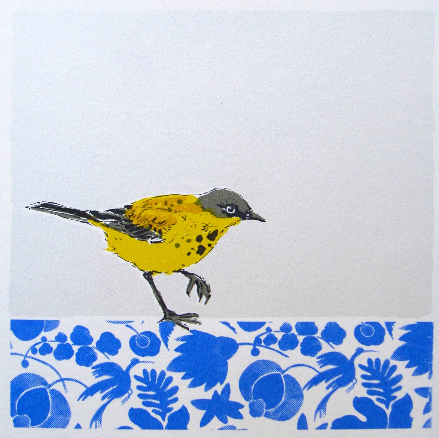 Grey wagtail
