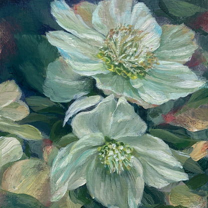 Hellebore on Blue 3