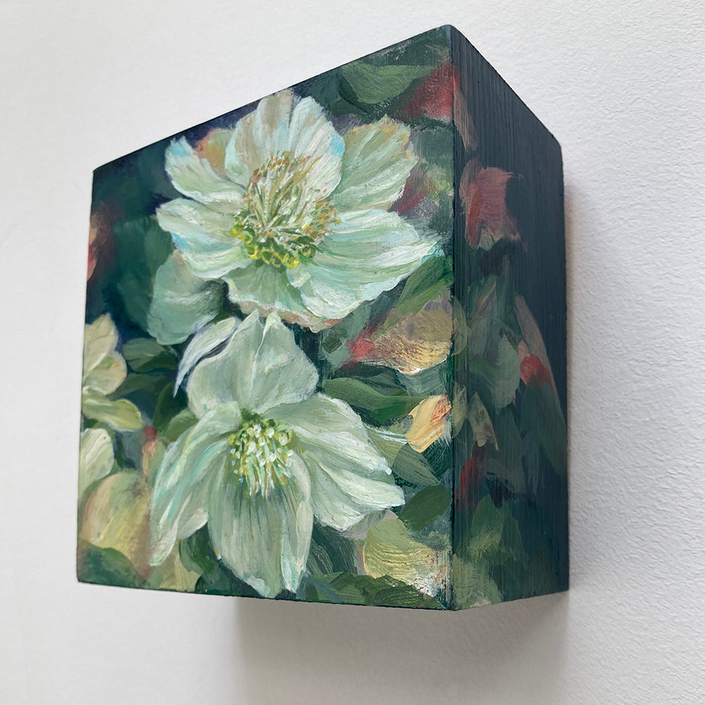 Hellebore on Blue 3