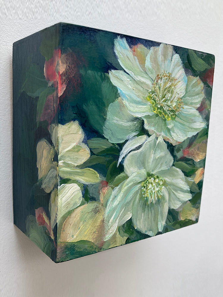 Hellebore on Blue 3