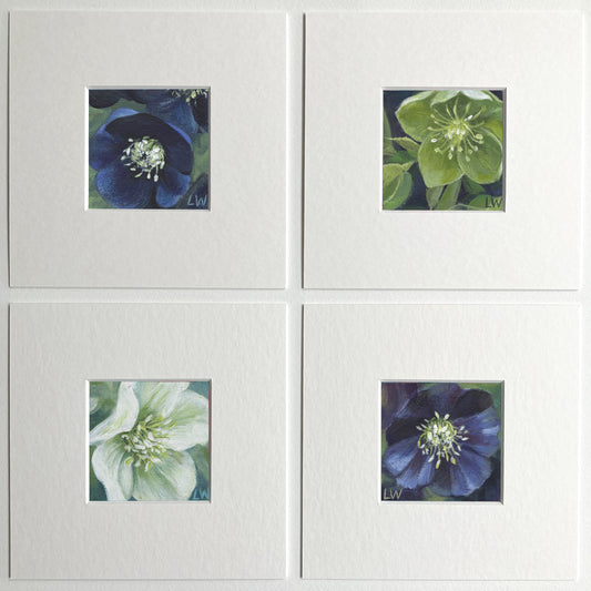 Botanical mini prints, mounted