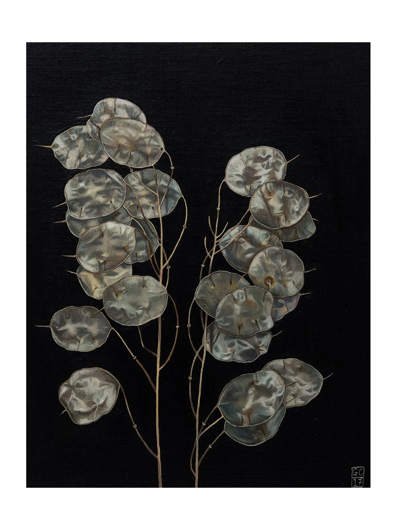 Honesty Print by Georgia Cox