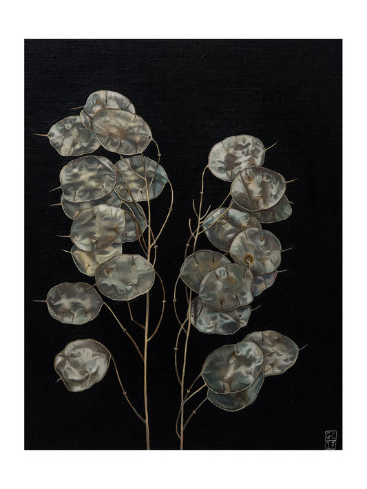 Honesty Print by Georgia Cox