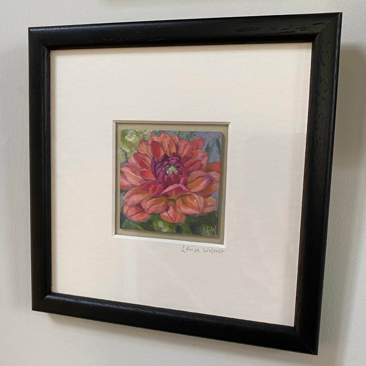 Dahlia miniature original