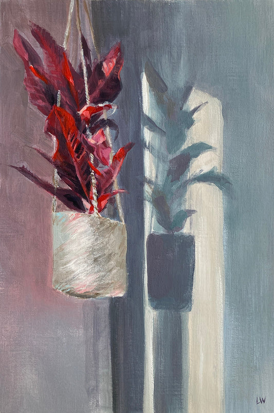 'Last of the Light'