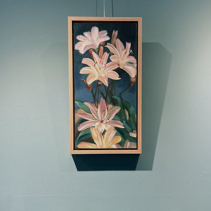 Lewisia