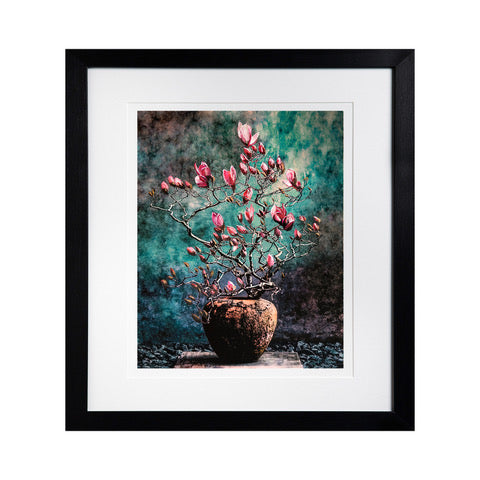 Budding Magnolia Print by Lily Glover