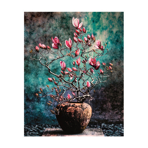 Budding Magnolia Print by Lily Glover