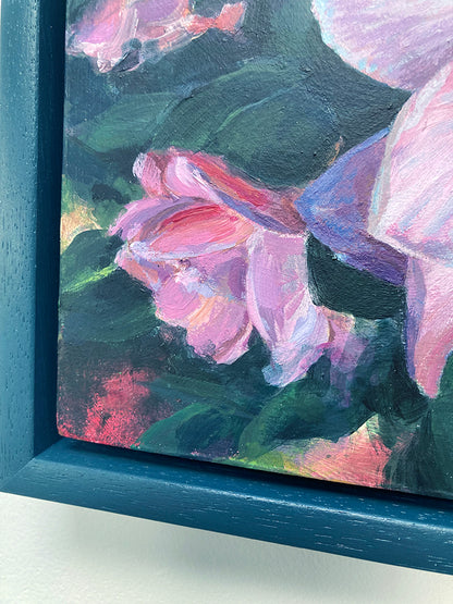 Pink Camelia